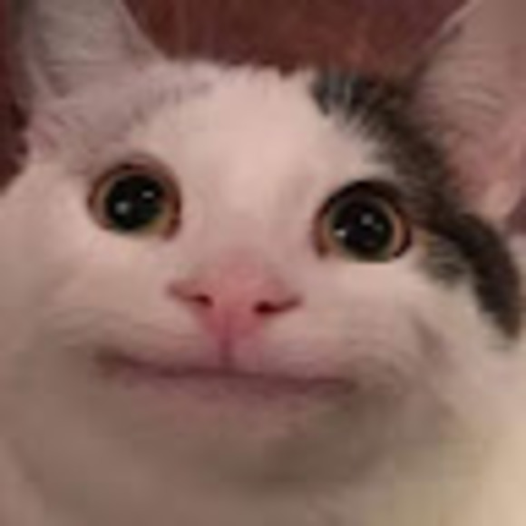 meapcat